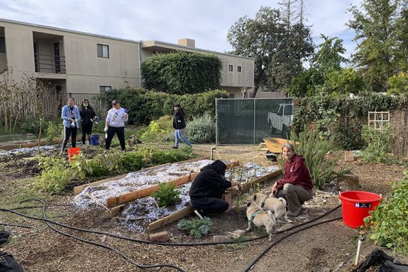 Sacramento Community Garden
